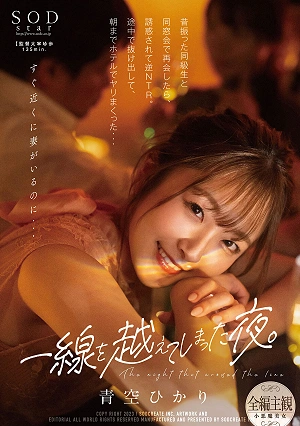 The Night That Crossed The Line. When I Reunited With A Former Classmate At A Reunion, I Was Tempted And Reverse NTR. I Slipped Out On The Way And Fucked At The Hotel Until Morning Hikari Aozora