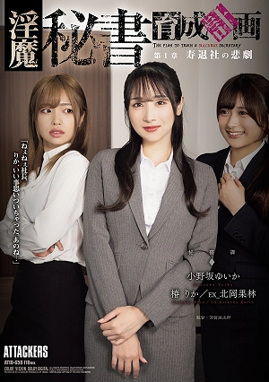 The Succubus Secretary Training Project Chapter 1: The Tragedy Of Leaving Work To Get Married