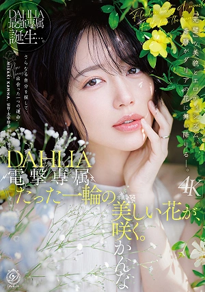 電撃専属 DAHLIA 美咲かんな たった一輪の美しい花が、咲く。