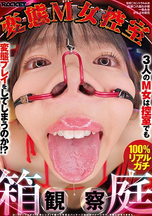 変態M女控室 箱庭観察